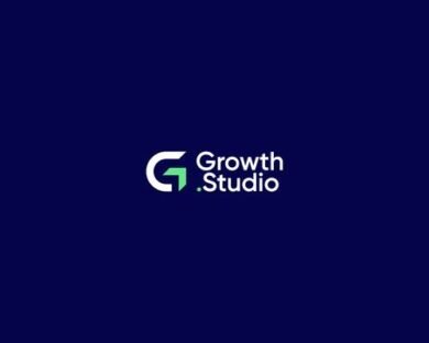 Mini Logo Design